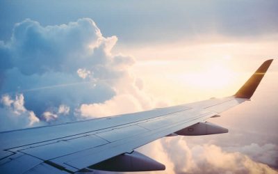 Plan de vuelo. Boletín de noticias Febrero 2021